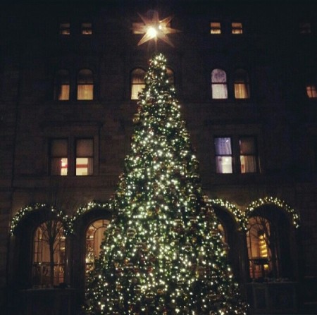 Christmas tree in New york